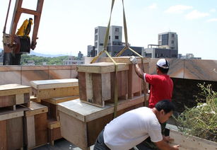 成都起重搬運(yùn)推薦哪家