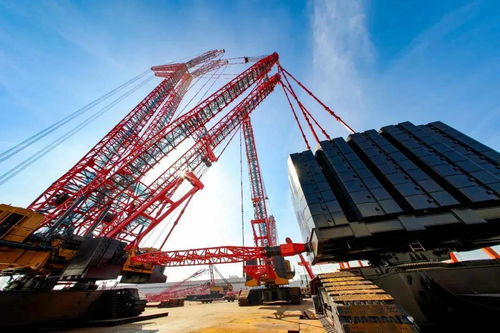 如果給工程機械設備發獎狀,這幾臺設備一定 穩拿第一